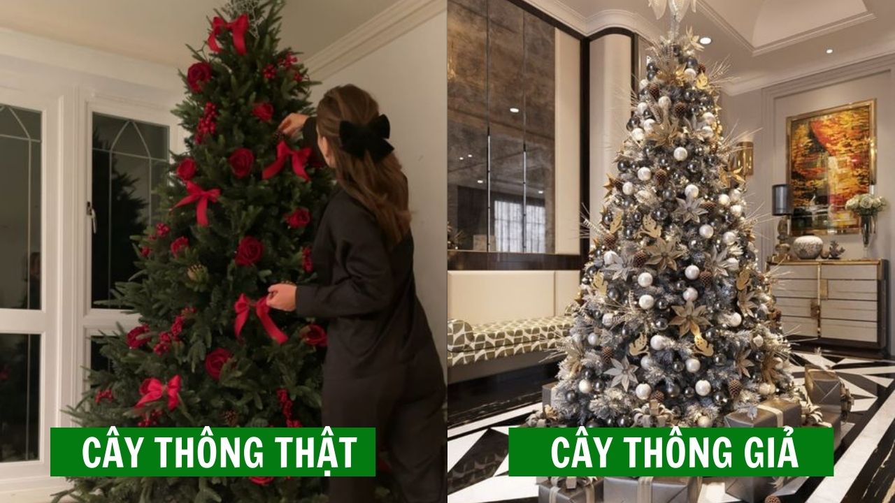 Trang trí Noel