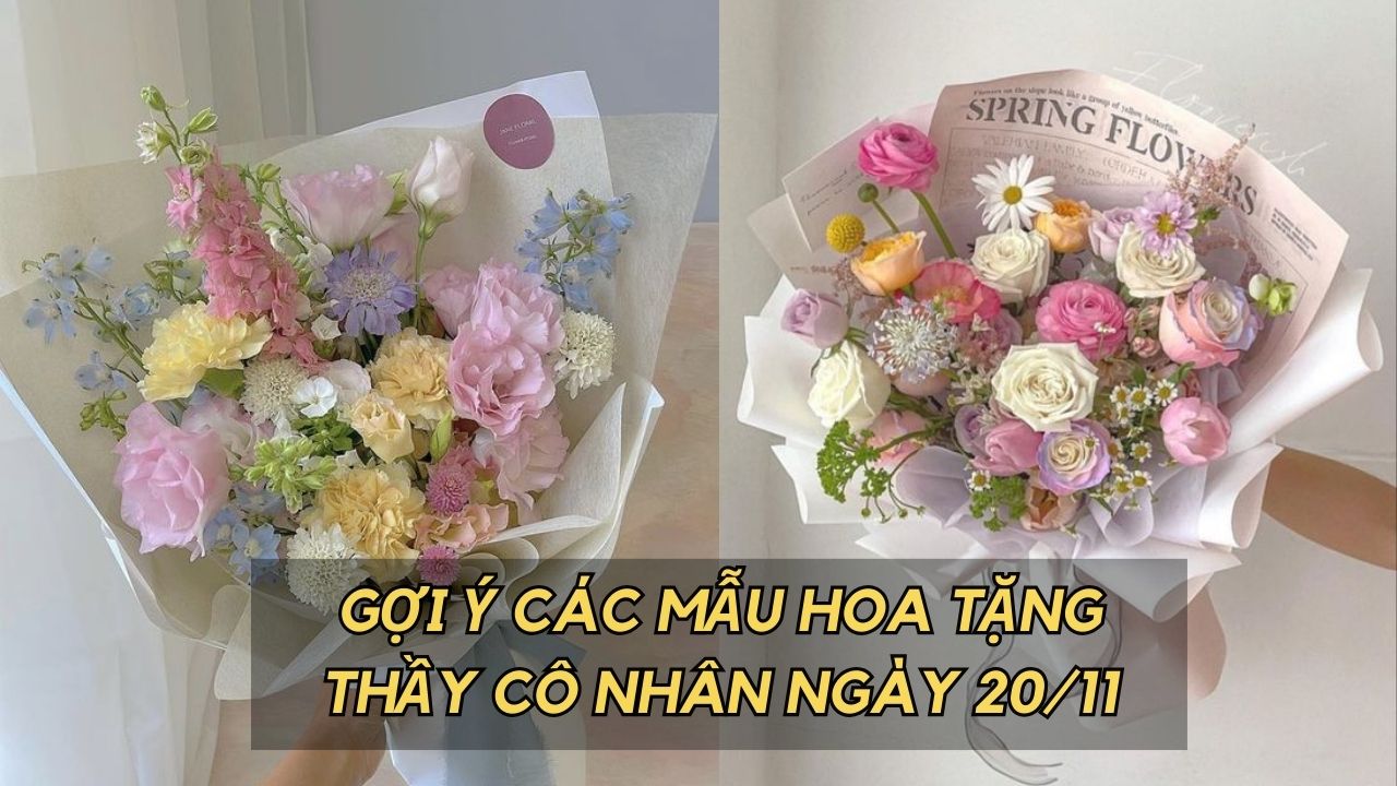 hoa tặng thầy cô nhân ngày 20 11