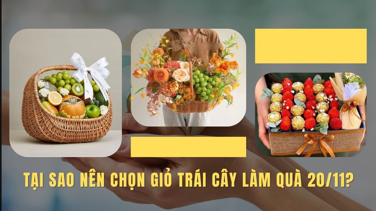 giỏ trái cây 20 11