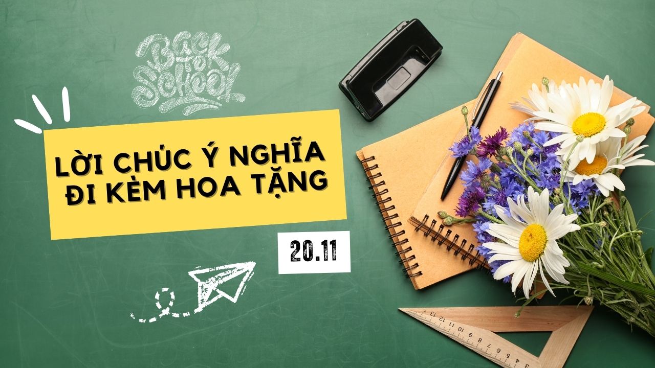 hoa tặng thầy cô nhân ngày 20 11