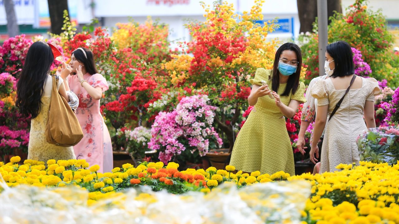 Lựa Chọn Hoa Ngày Tết Theo Vùng Miền