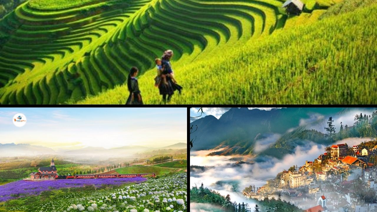 Các Tour Du Lịch Miền Núi & Tây Nguyên Hấp Dẫn