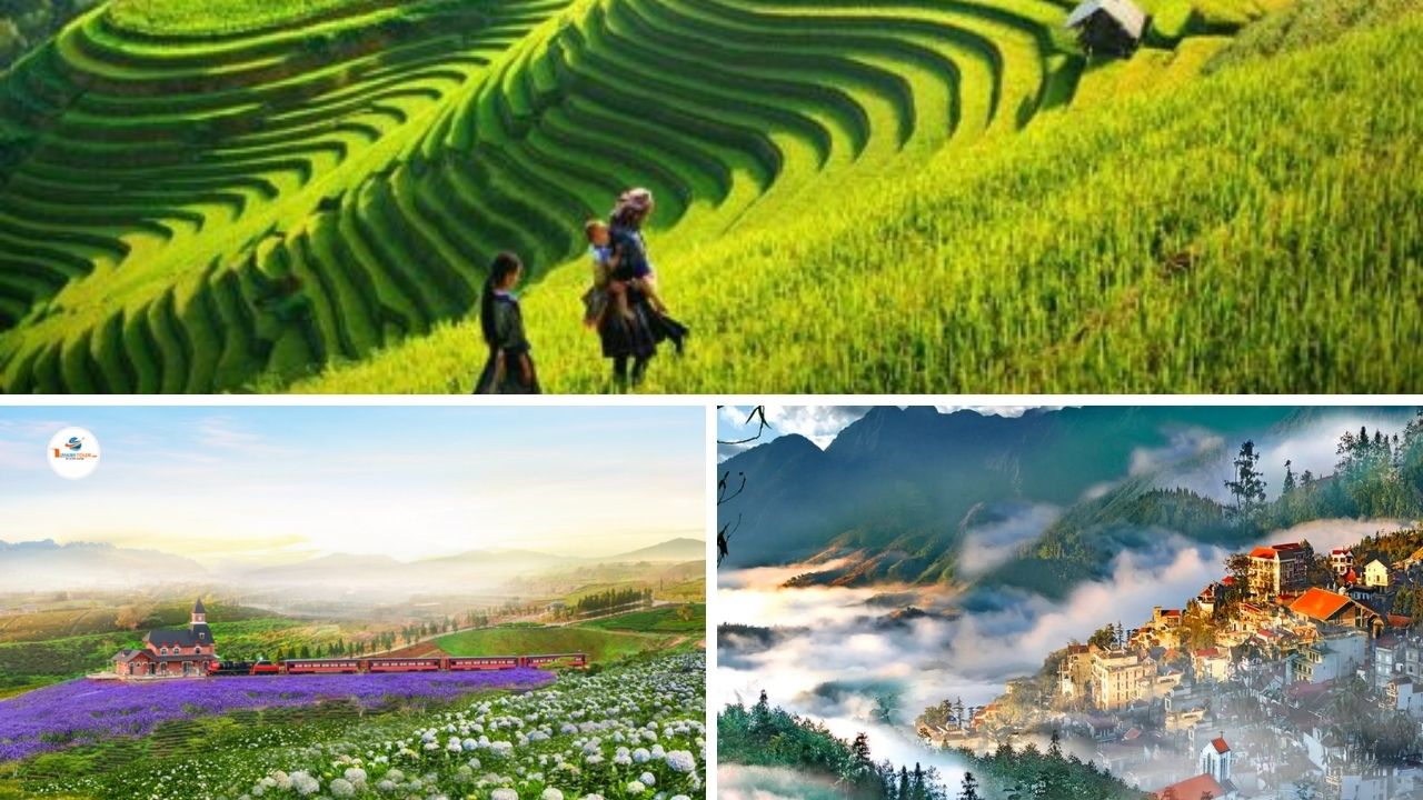 Du lịch miền núi – Tránh nóng, tận hưởng thiên nhiên