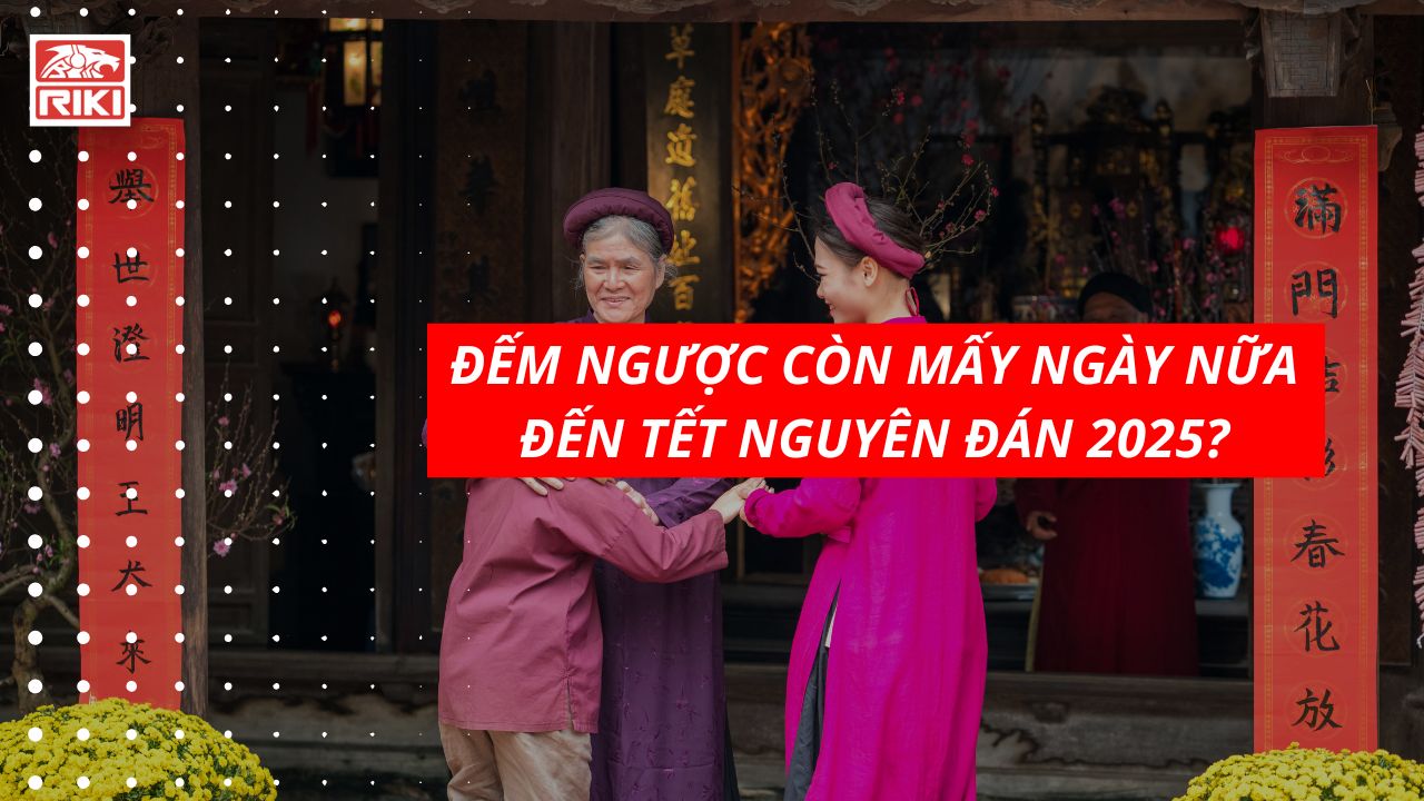 Đếm Ngược Còn Mấy Ngày Nữa Đến Tết Nguyên Đán 2025?