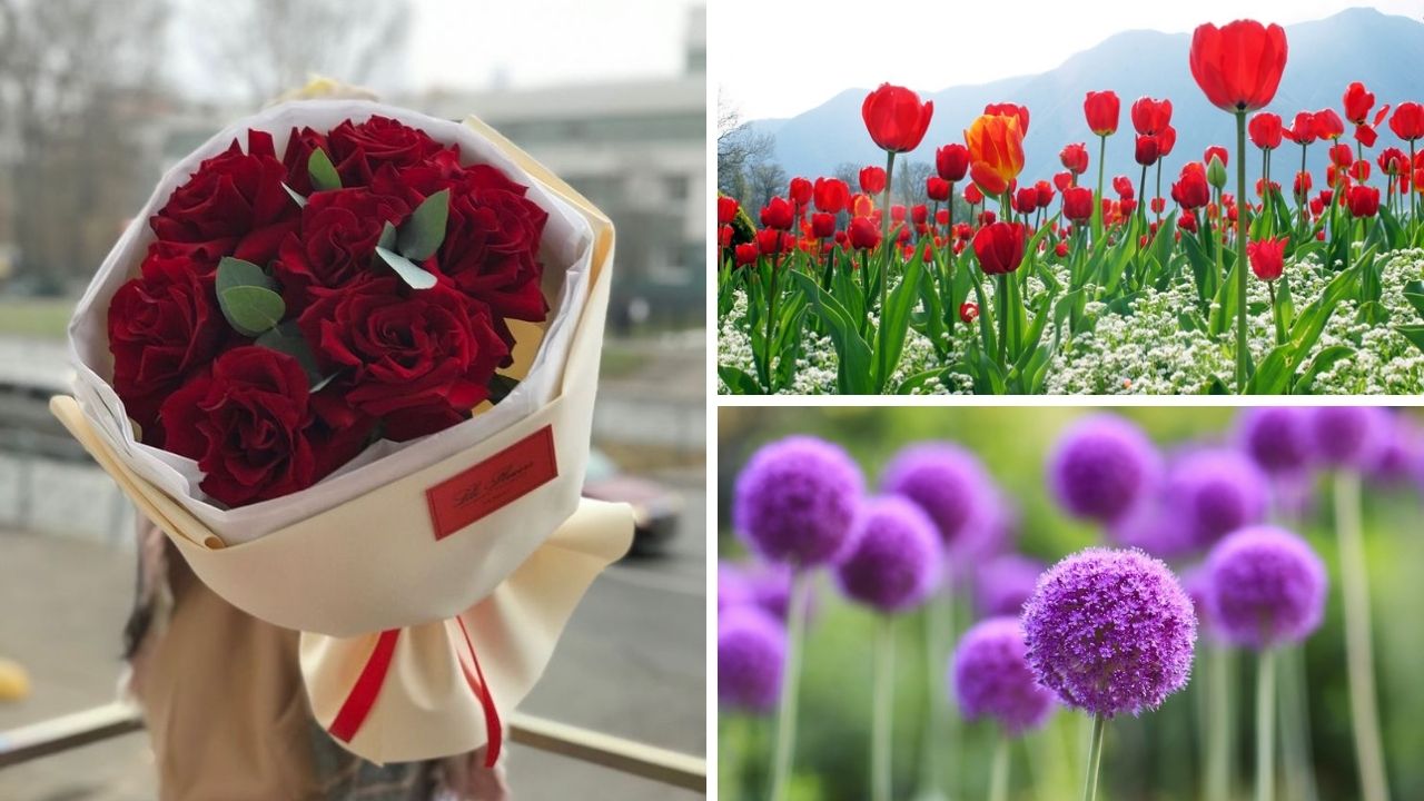Cách Chọn Hoa Tặng Valentine