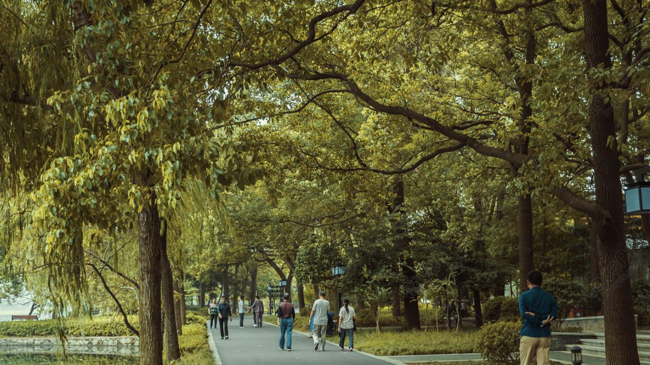 Đi Dạo Công Viên Hoặc Địa Điểm Ngoại Thành