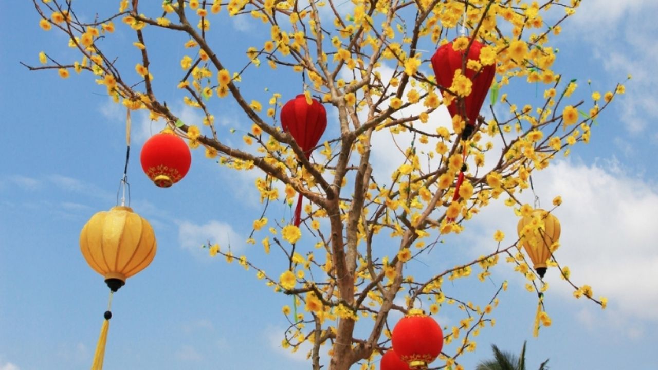 Tết Nguyên Đán Là Dịp Gìn Giữ Văn Hóa Truyền Thống