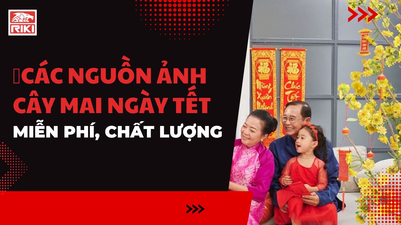 Các Nguồn Ảnh Cây Mai Ngày Tết Miễn Phí, Chất Lượng