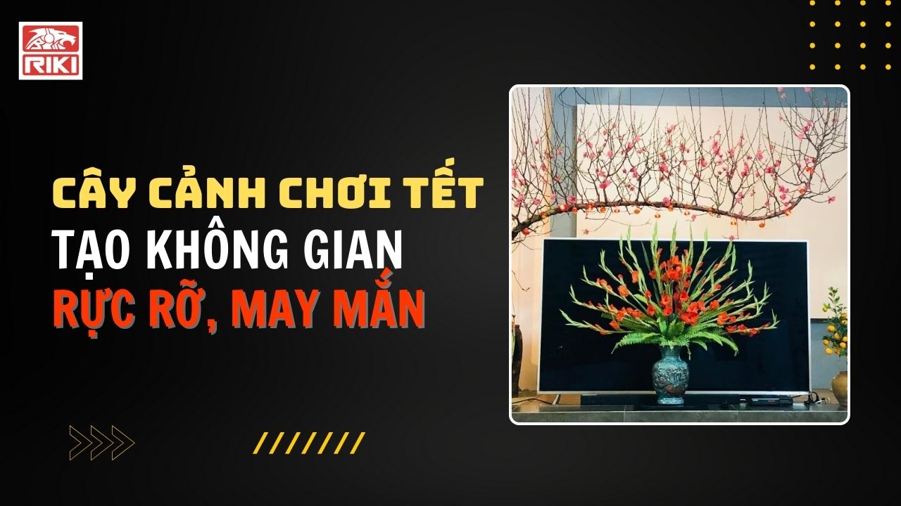 Cây Cảnh Chơi Tết Tạo Không Gian Xuân Rực Rỡ, May Mắn