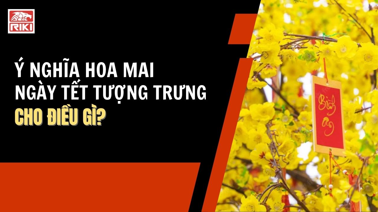 Ý Nghĩa Của Hoa Mai Ngày Tết Tượng Trưng Cho Điều Gì?