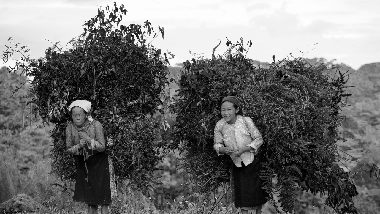 1. Nguồn gốc và ý nghĩa của Ngày Phụ Nữ Việt Nam 20/10