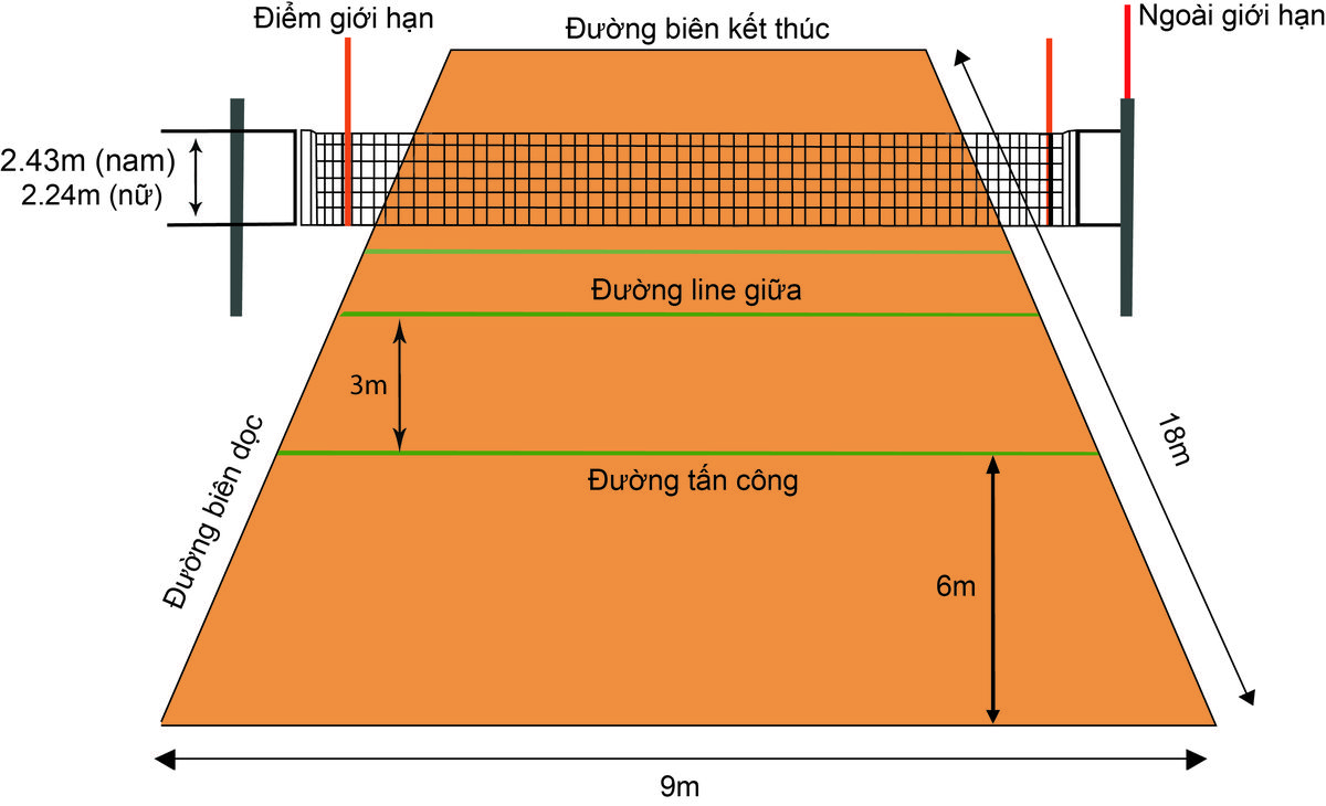 Chiều cao lưới bóng chuyền nam nữ theo luật